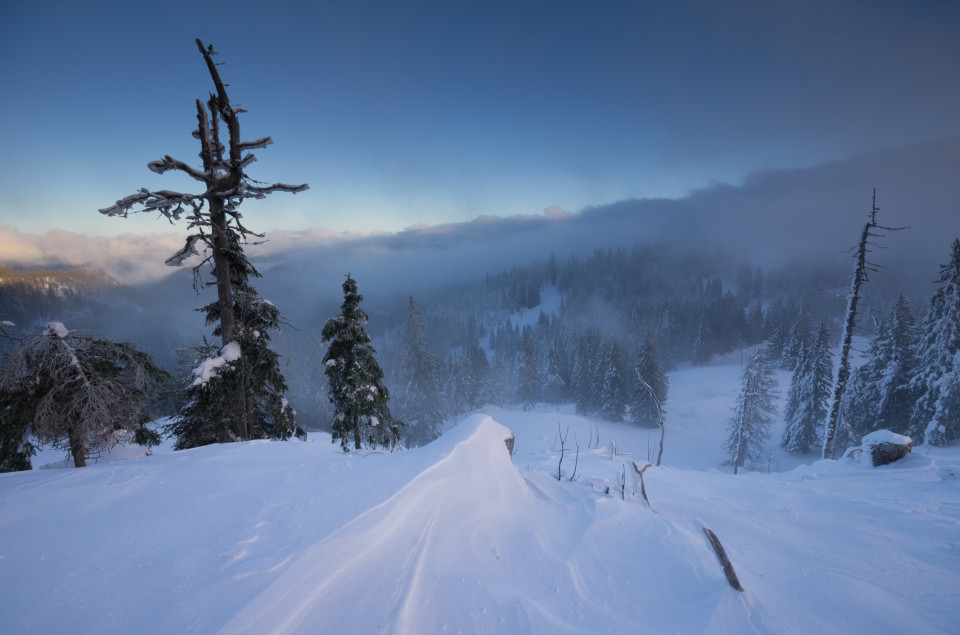 Stübenwasen; Inversionswetterlage mit Wolkenauflösung durch Ostwind vom Feldberg