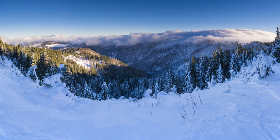 Stübenwasen; Inversionswetterlage mit Wolkenauflösung durch Ostwind vom Feldberg