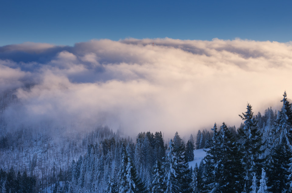 Stübenwasen; Inversionswetterlage mit Wolkenauflösung durch Ostwind vom Feldberg