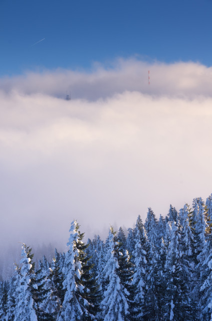 Stübenwasen; Inversionswetterlage mit Wolkenauflösung durch Ostwind vom Feldberg