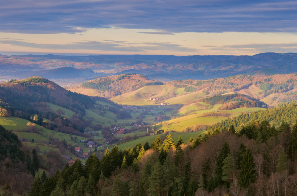 Blick vom Streckereck über das Föhrental