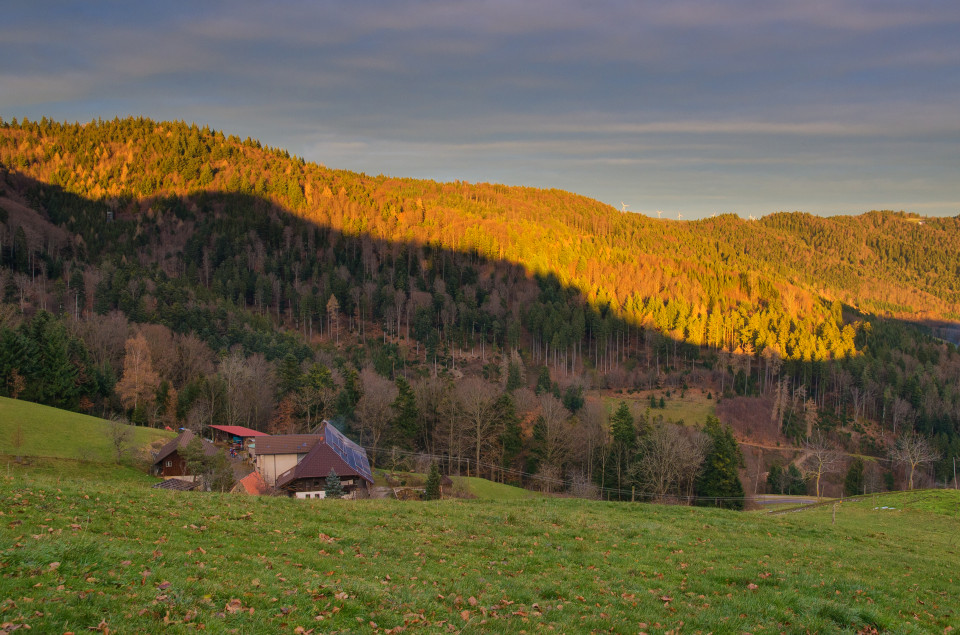 Molzenhof in Hintereschbach