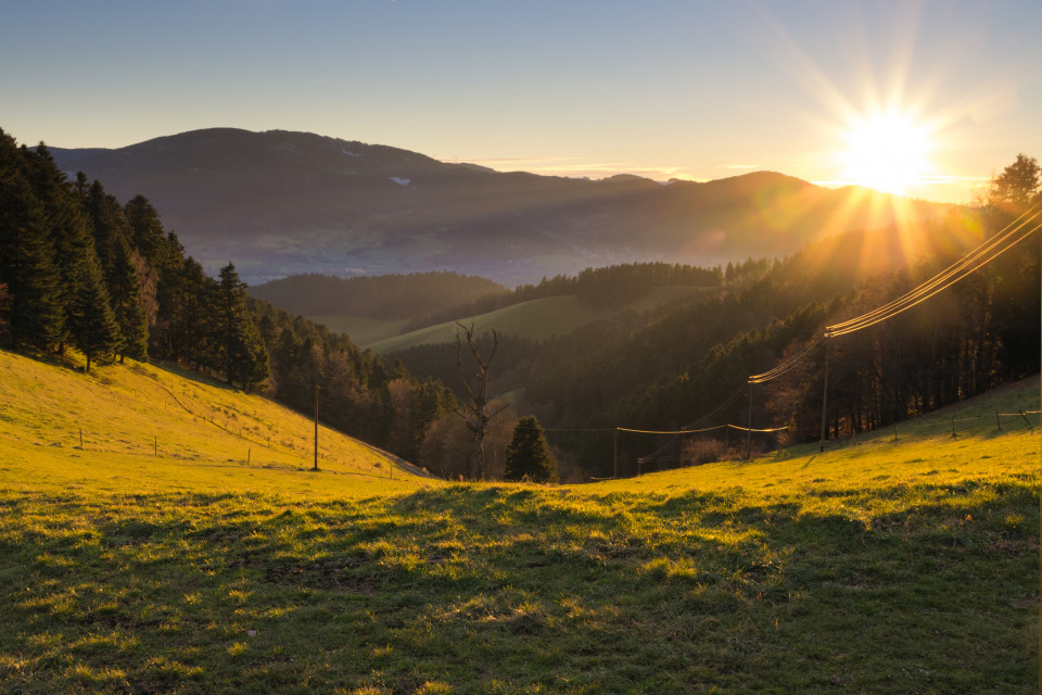 Hintereschbach, Blick Richtung Dreisamtal