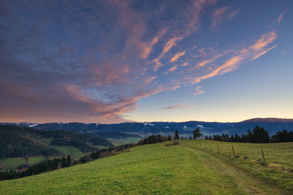 Oberhalb Eschbach, Blick über das Dreisamtal