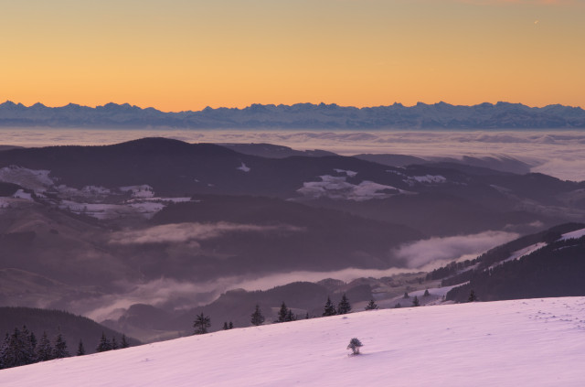 Wintermorgen auf dem Belchen