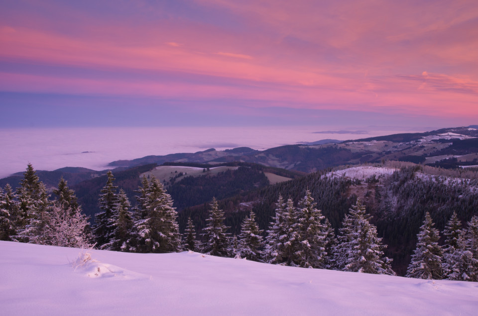 Wintermorgen auf dem Belchen