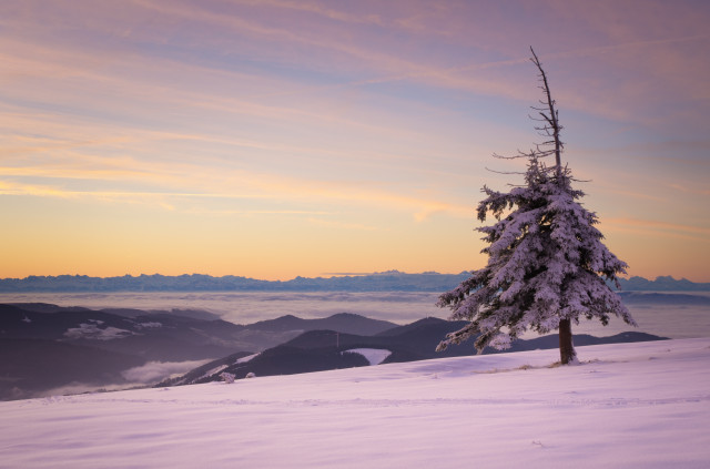 Wintermorgen auf dem Belchen