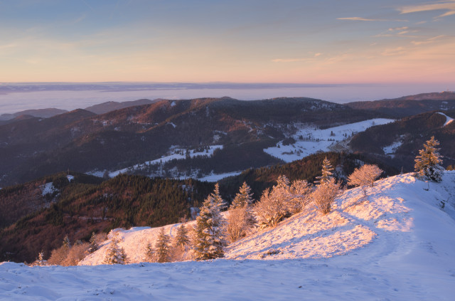 Wintermorgen auf dem Belchen