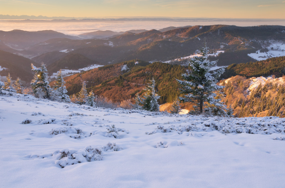 Wintermorgen auf dem Belchen