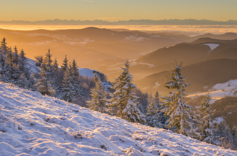 Wintermorgen auf dem Belchen