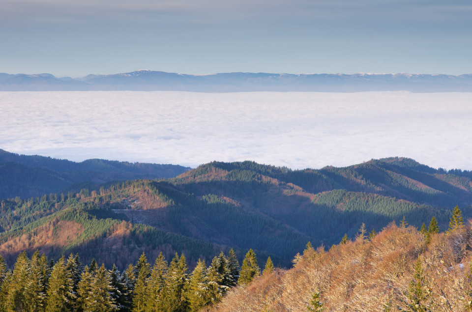 Blick vom Belchen zu den Vogesen