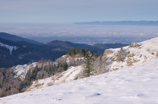 Blick vom Belchen zu den Vogesen