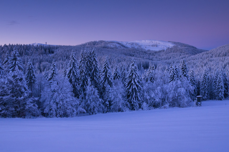 Blick von Rinken zum Feldberg