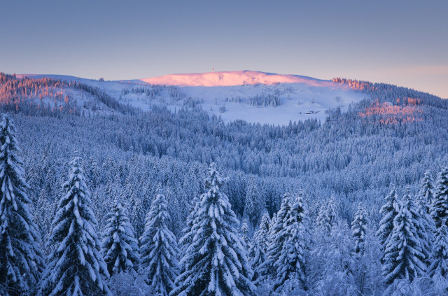 Blick von Rinken zum Feldberg (Baldenweger Buck)