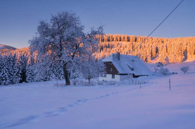 Urbershütte, Hinterzarten-Rinken