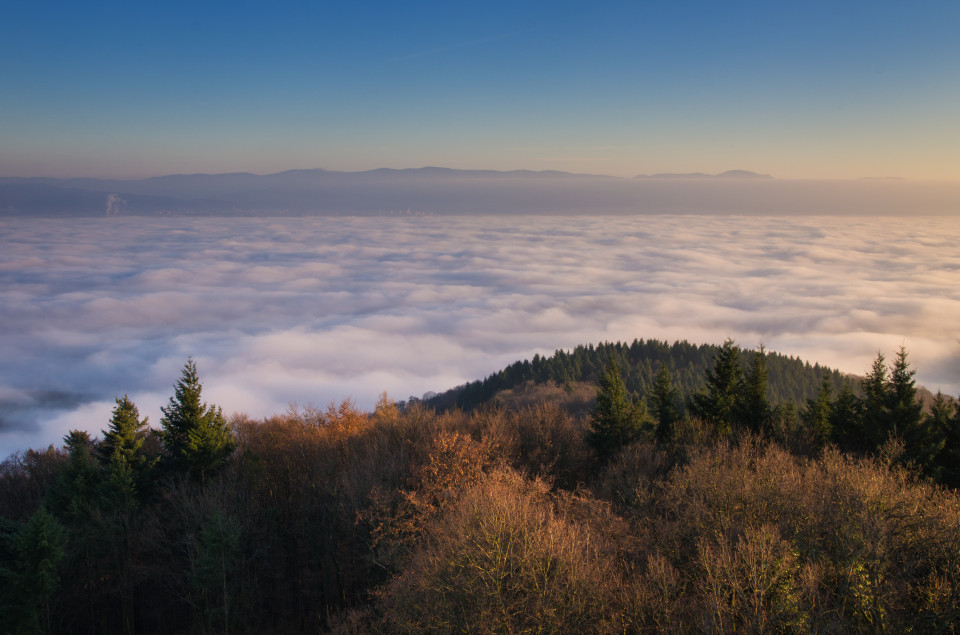 Auf der Eichelspitze im Kaiserstuhl bei Inversionswetterlage