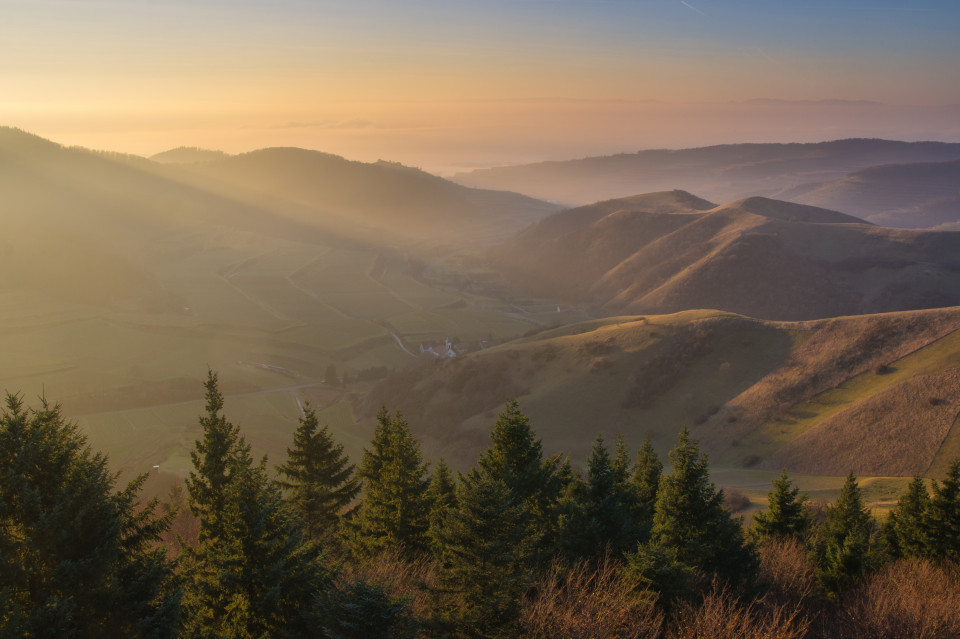 Auf der Eichelspitze im Kaiserstuhl bei Inversionswetterlage