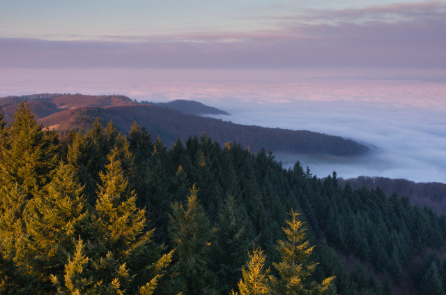 Auf der Eichelspitze im Kaiserstuhl bei Inversionswetterlage