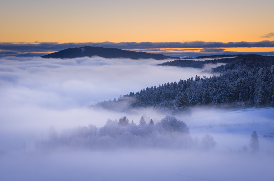 Wintermorgen mit Nebel bei Hinterzarten