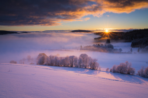 Winterlicher Sonnenaufgang bei Hinterzarten