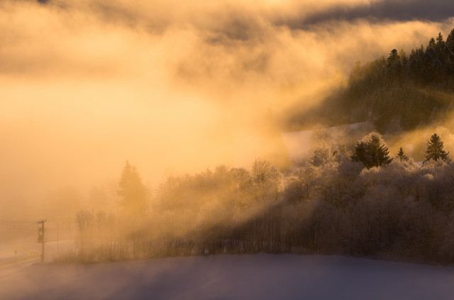 Nebel und Sonnenschein