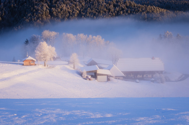 Michelthomilishof, Hinterzarten-Windeck