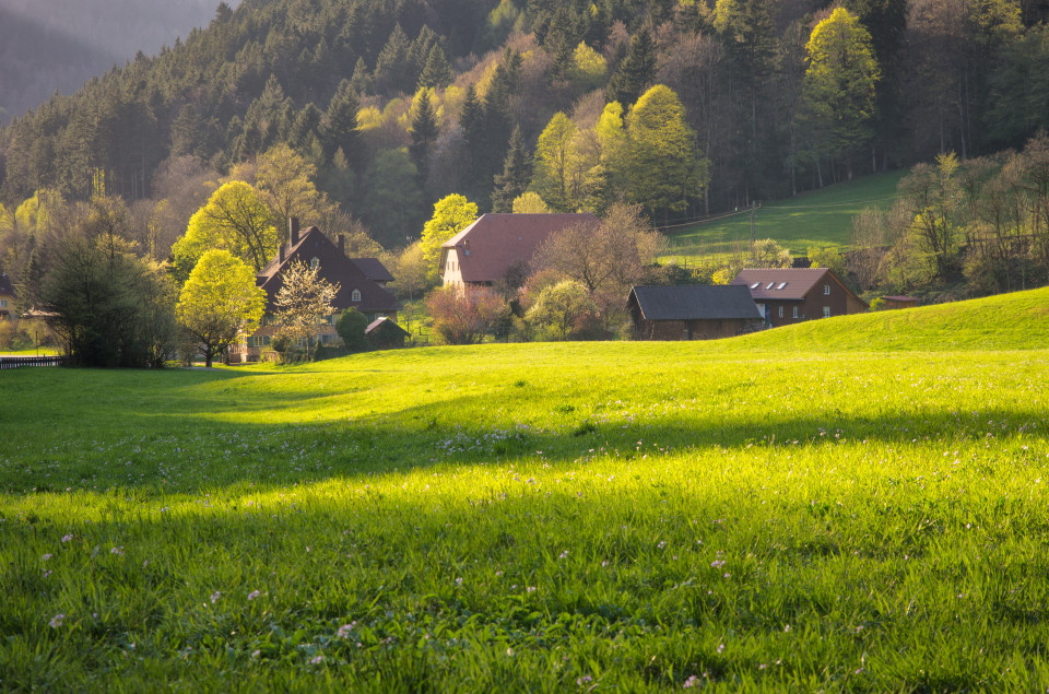 Posthalde im Höllental