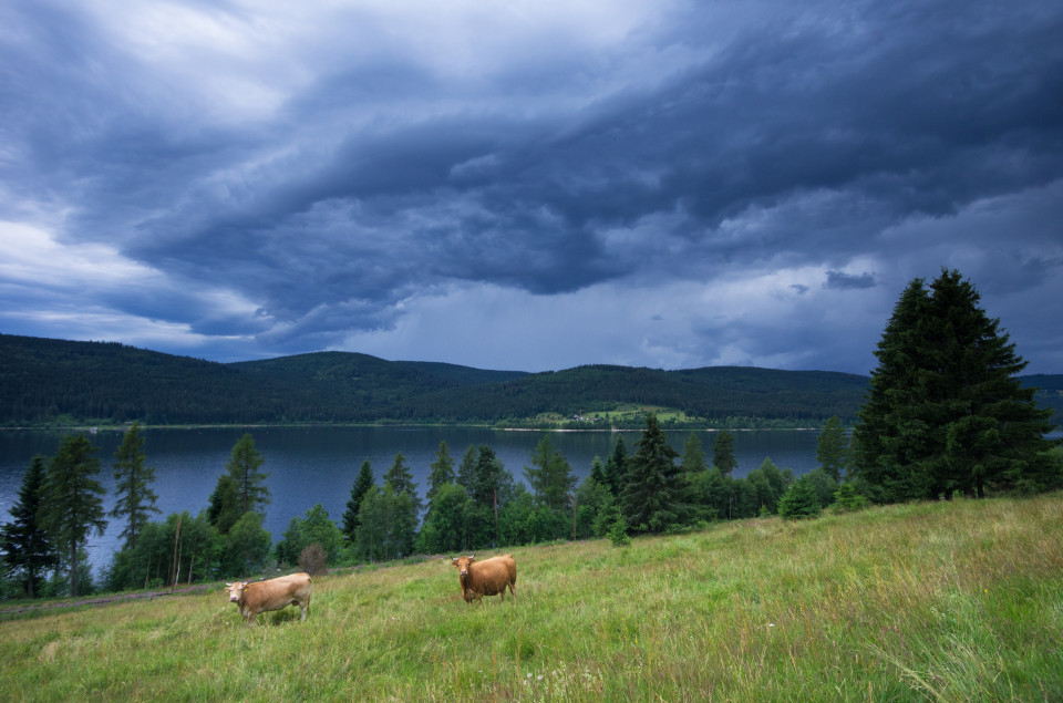 Gewitterwolken über dem Schluchsee