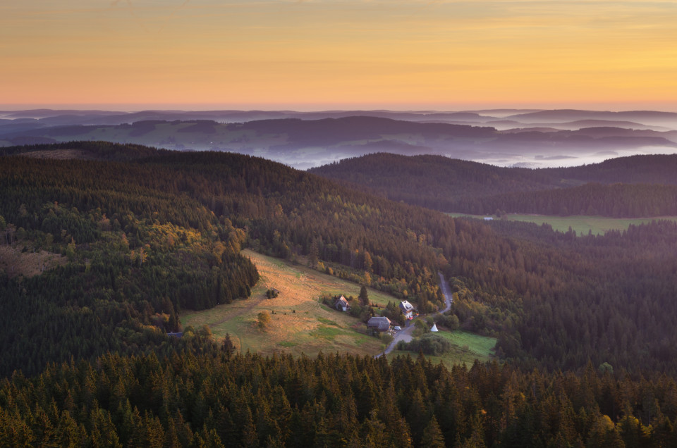 Blick vom Baldenweger Buck auf Rinken