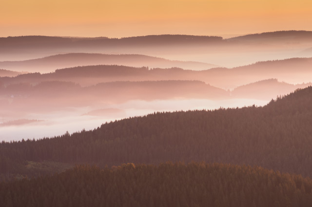 Morgenstimmung mit Nebel im Hochschwarzwald