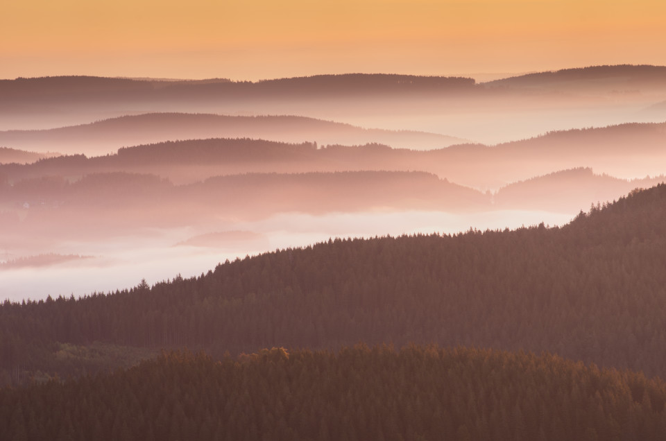 Morgenstimmung mit Nebel im Hochschwarzwald