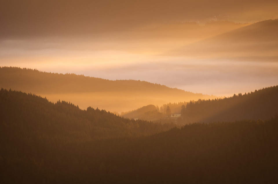 Morgenstimmung mit Nebel im Hochschwarzwald