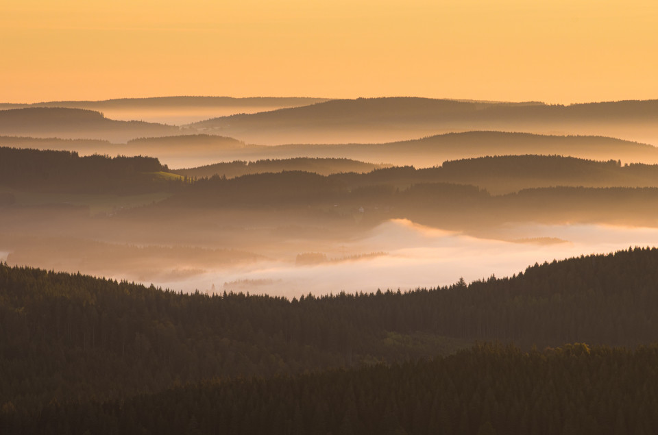 Morgenstimmung mit Nebel im Hochschwarzwald