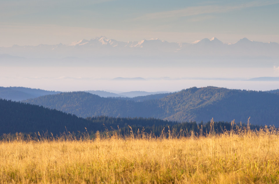 Alpenblick vom Feldberg