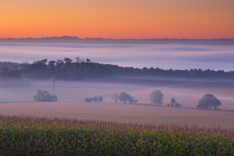 Inversion und Fernsicht vom Hochsträß