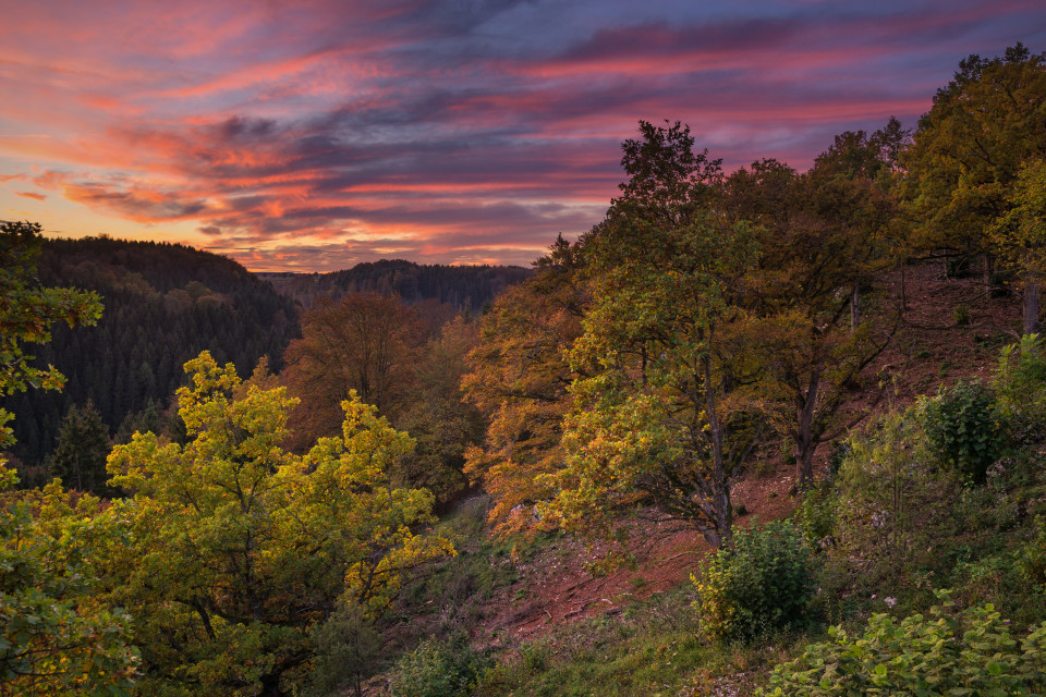 Herbst im Kleinen Lautertal