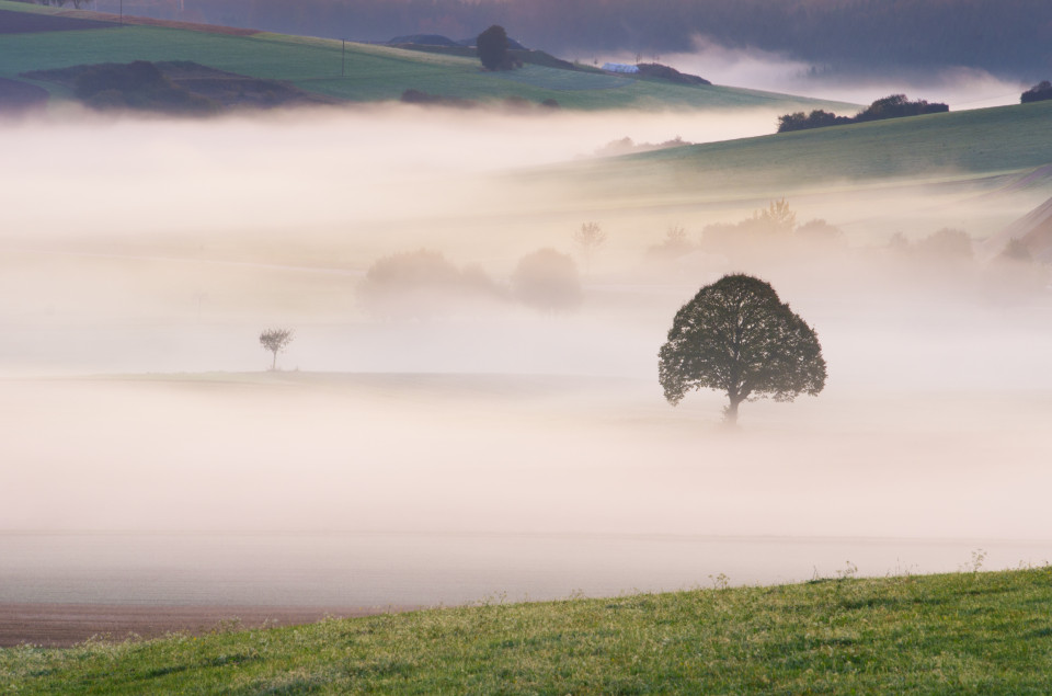 Nebliger Herbstmorgen bei Zainingen