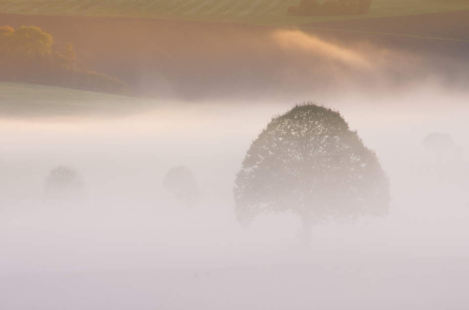 Nebliger Herbstmorgen bei Zainingen