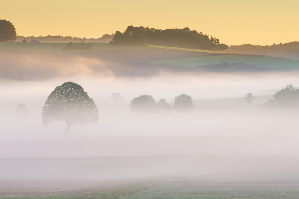 Nebliger Herbstmorgen bei Zainingen