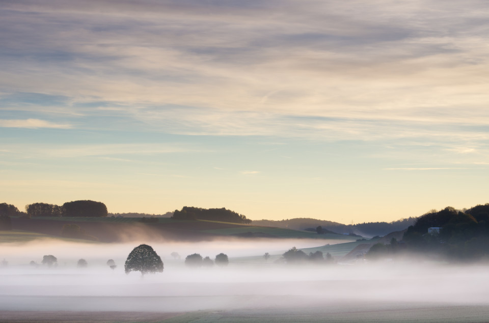 Nebliger Herbstmorgen bei Zainingen