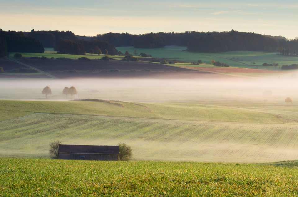 Nebliger Herbstmorgen bei Zainingen