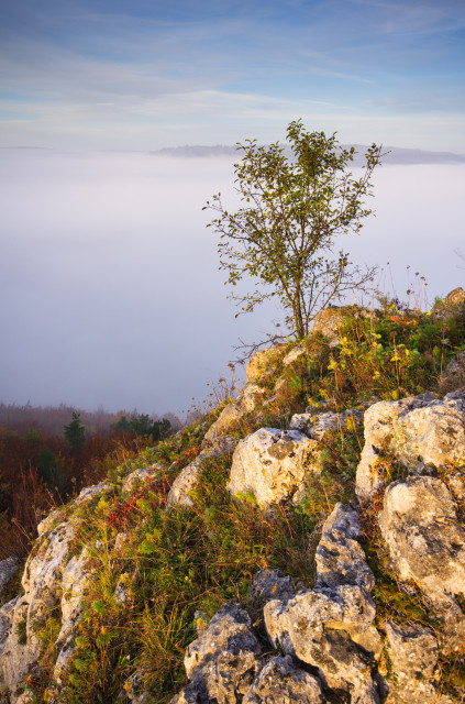 Knoblauchfels bei Blaubeuren