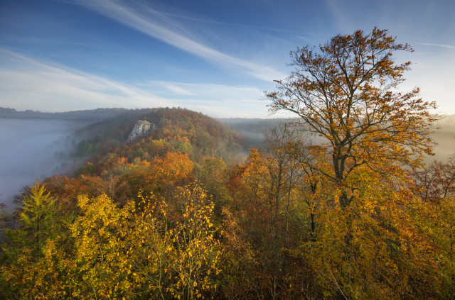 Blick vom Rusenschloss nach Norden