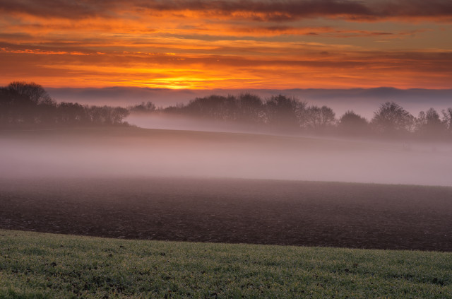 Morgennebel bei Feldstetten