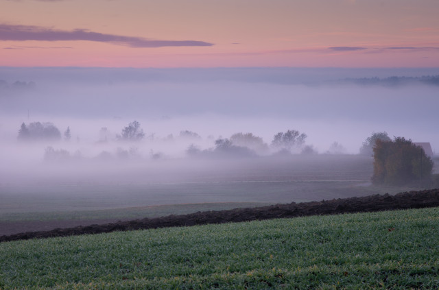 Morgennebel bei Feldstetten