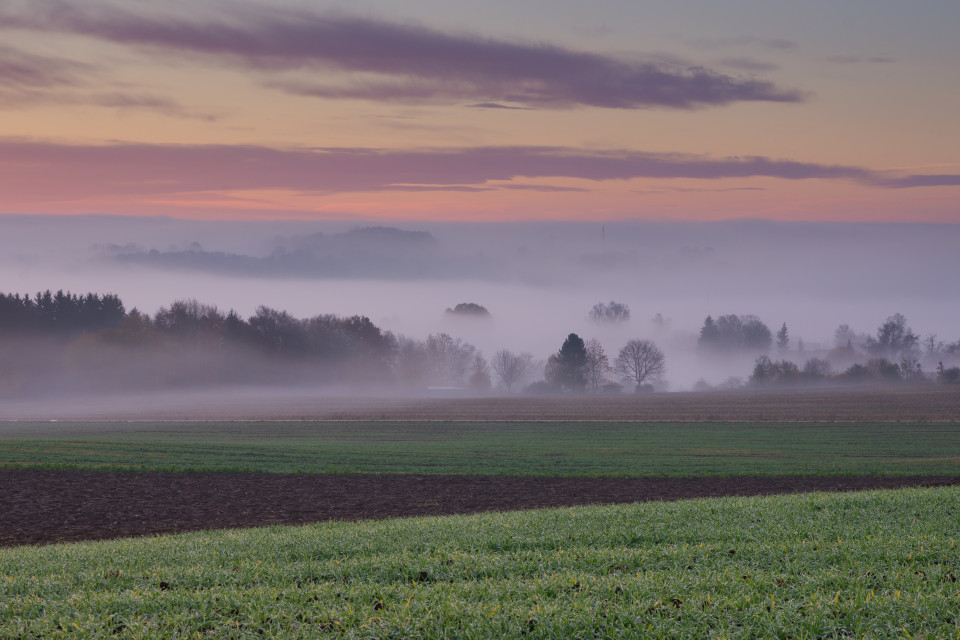 Morgennebel bei Feldstetten