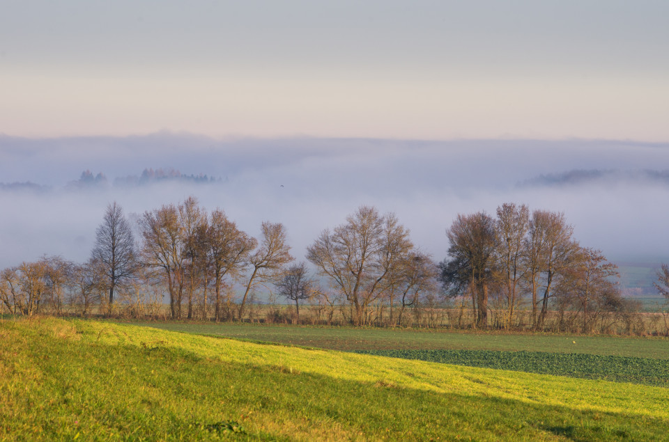 Nebelgrenze bei Magolsheim