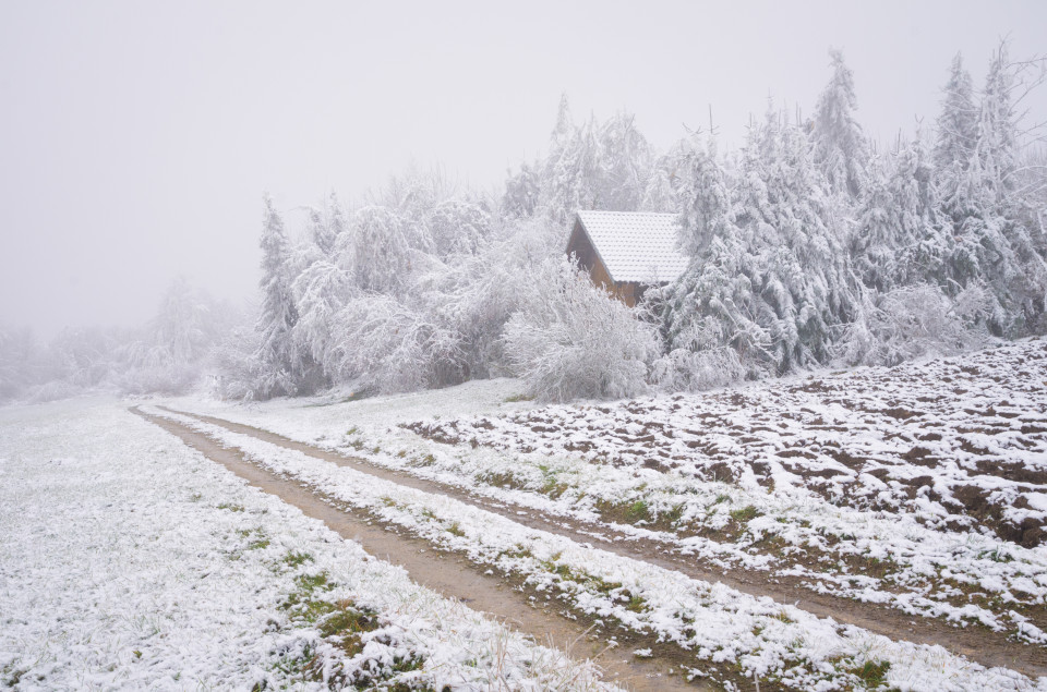 Erster Schnee bei Feldstetten