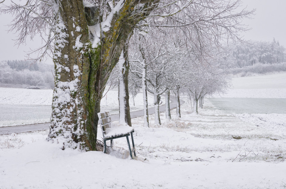 Erster Schnee bei Zainingen