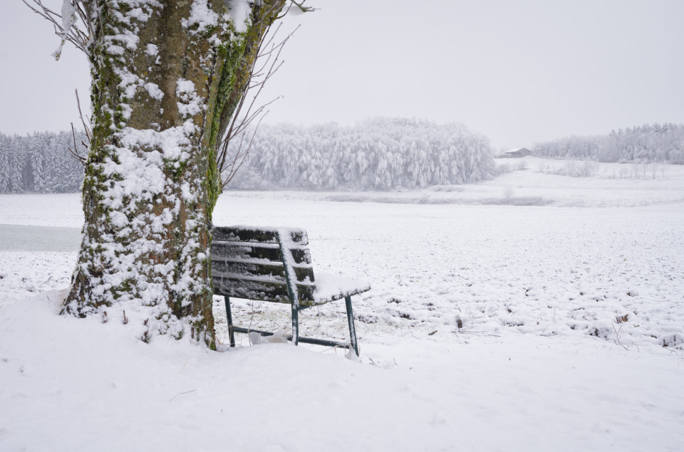 Erster Schnee bei Zainingen